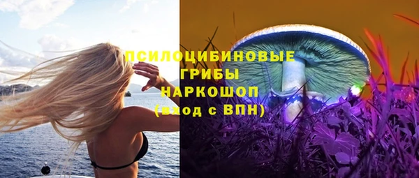дмт Россошь