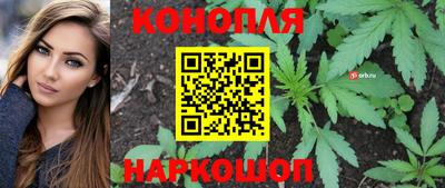 каннабис Новозыбков