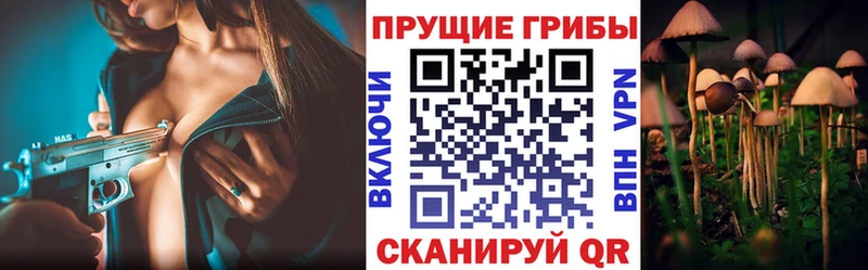гидра сайт  Азов  Галлюциногенные грибы Psilocybe 